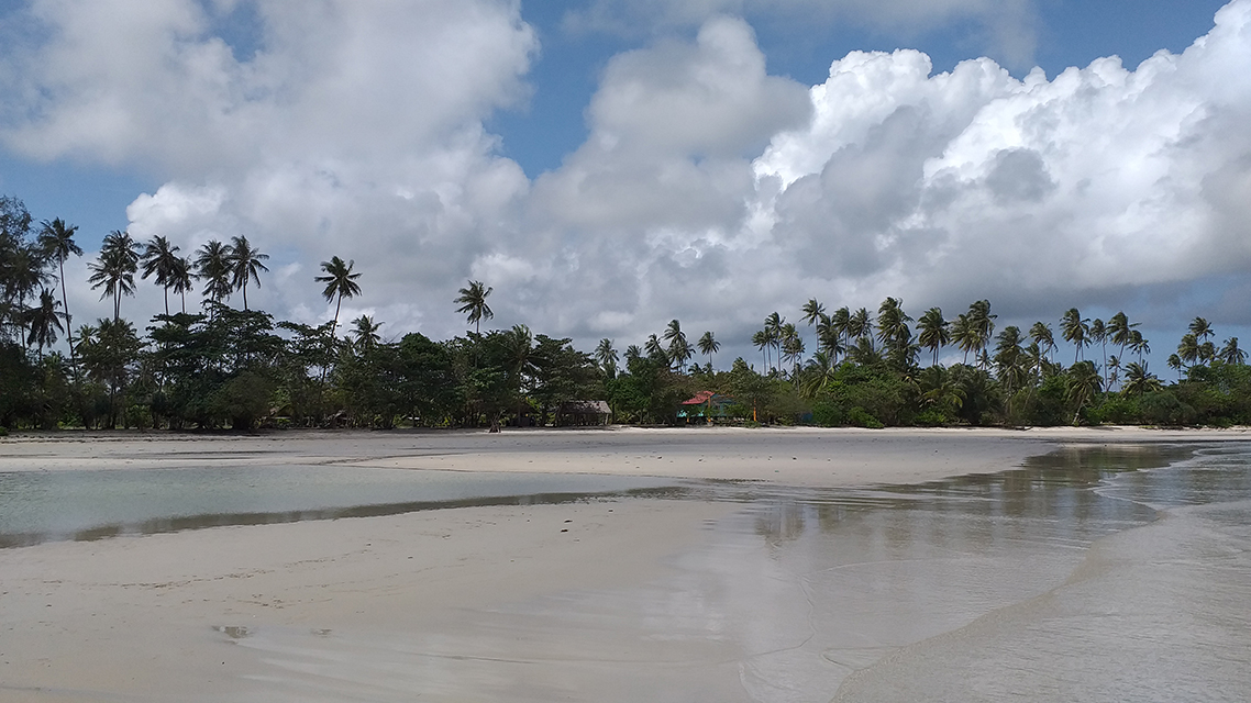 Natural landscape at Mutiara Beach Resort, Bintan Spa Resort