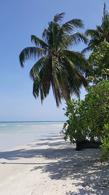 More Activities in Bintan Spa Resort - Mutiara Beach