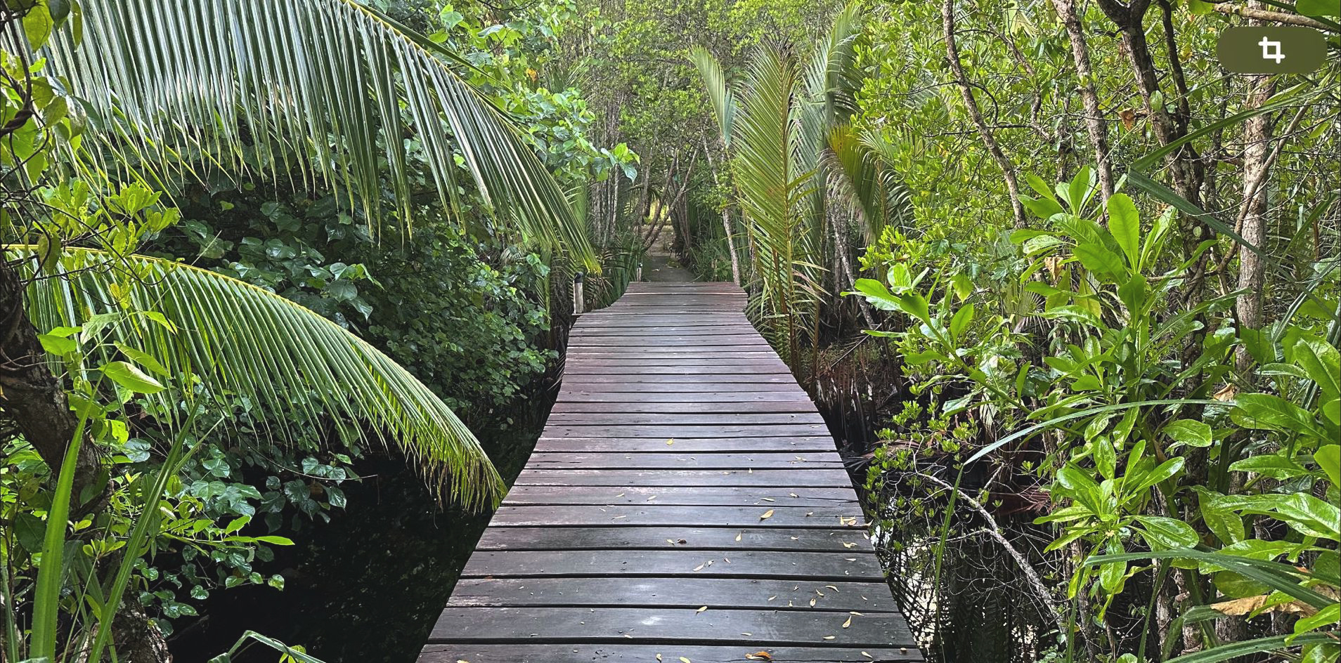 Bintan Spa Resort - Banner page 1