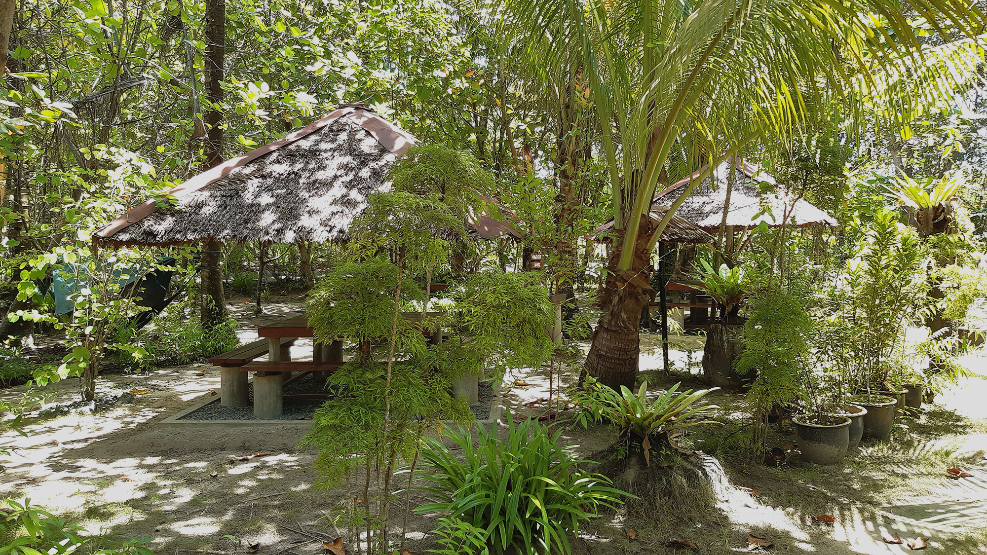 Bintan Spa Resort - Banner page 1